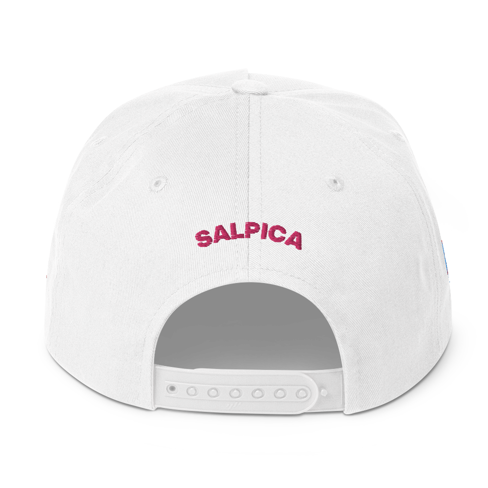 SOL PR SNAPBACK